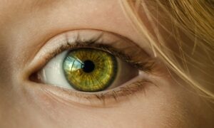 Close up of a woman's hazel eye